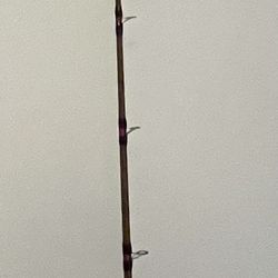 Ugly Stik Tiger Casting Rod 7’0”