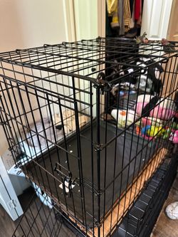 Small Dog Kennel
