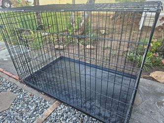 Large Black Wire Dog Crate with Tray