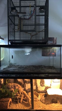 40 gallon tank