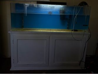 Fish tank