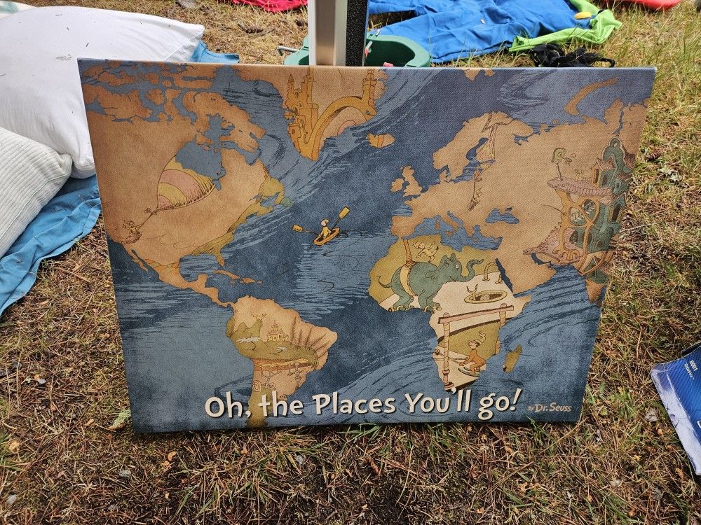 Oh The Places You'll Go Picture