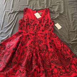 Brand New Taylor Dress 
