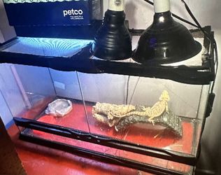 Reptile Enclosure