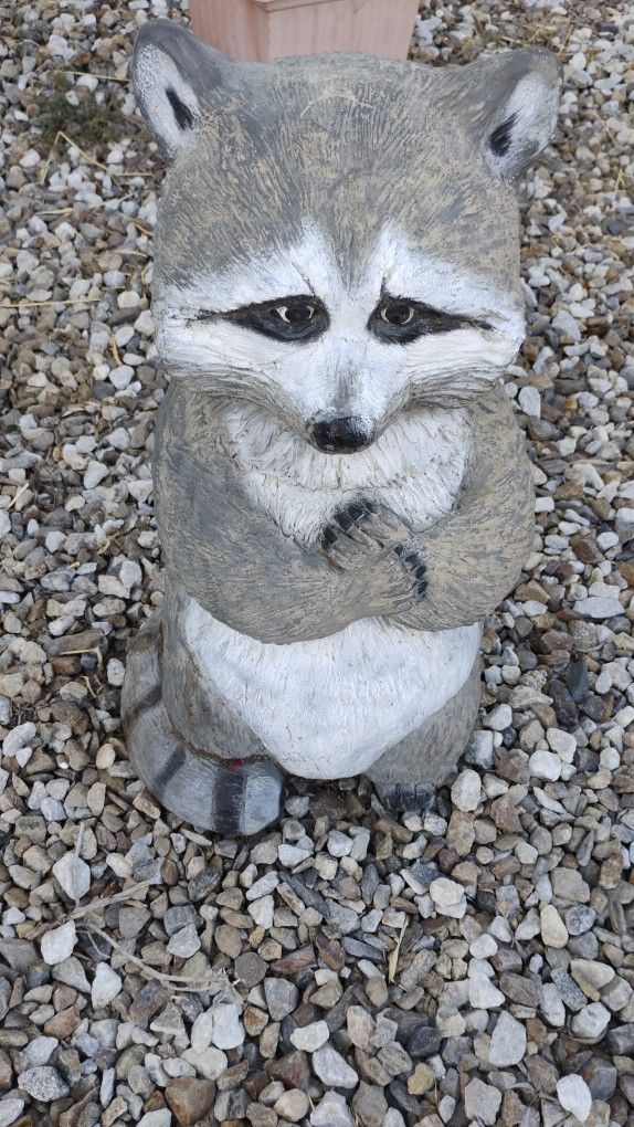 Raccoon Garden Statue.