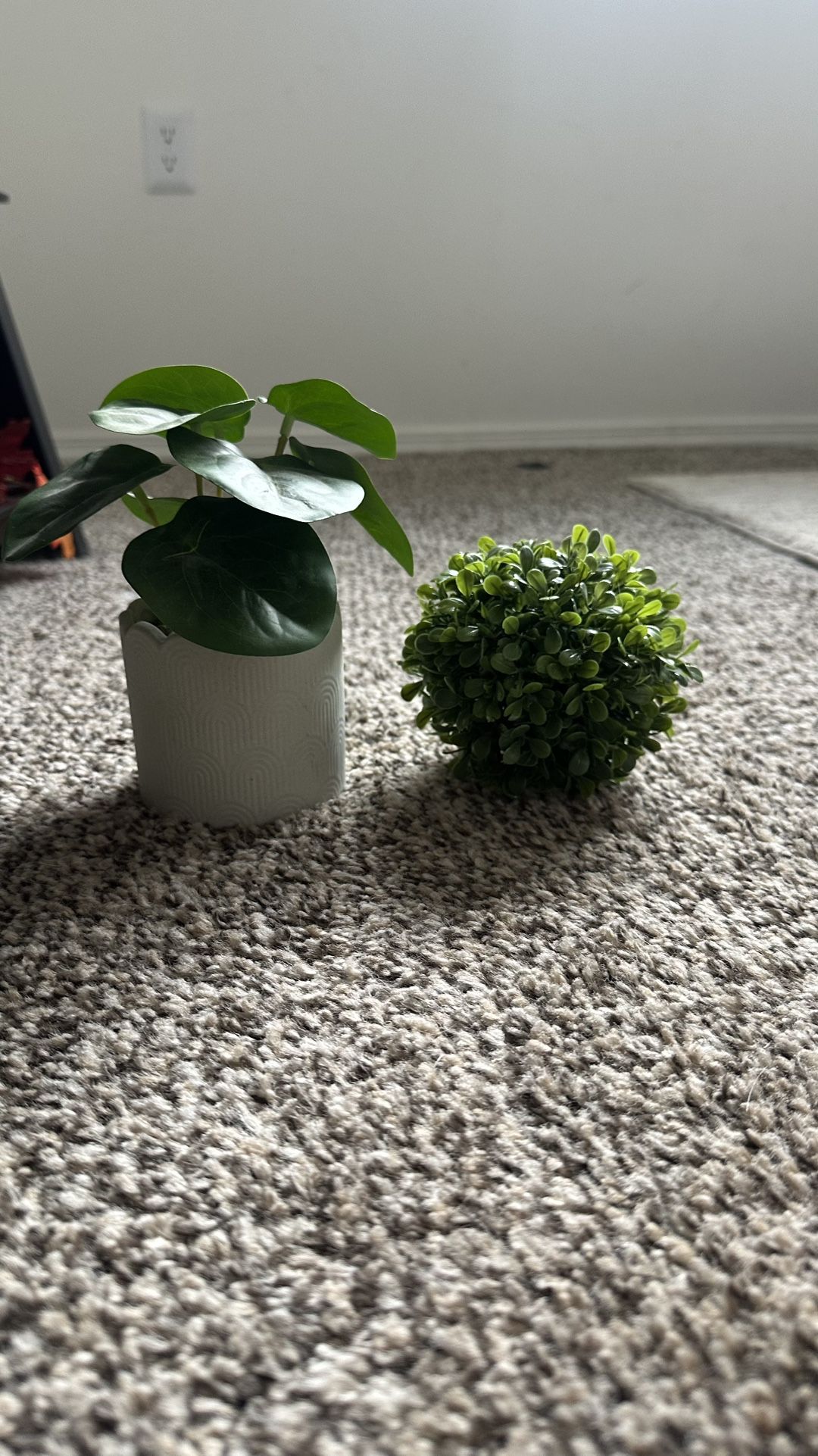Fake plant and circular ball plant