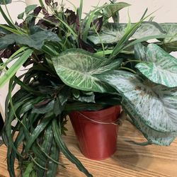 Large Artificial  Plant In Metal Bucket