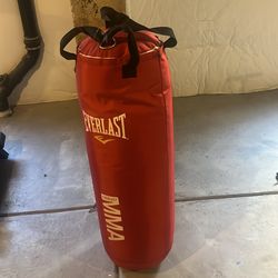 Punching Bag