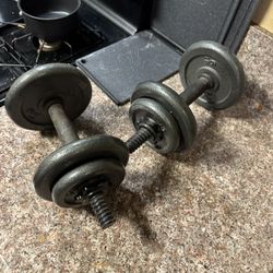 Weights 20 Lb Each