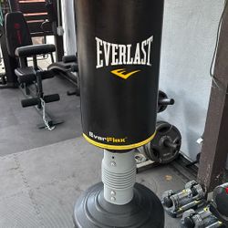 Everlast Punching Bag