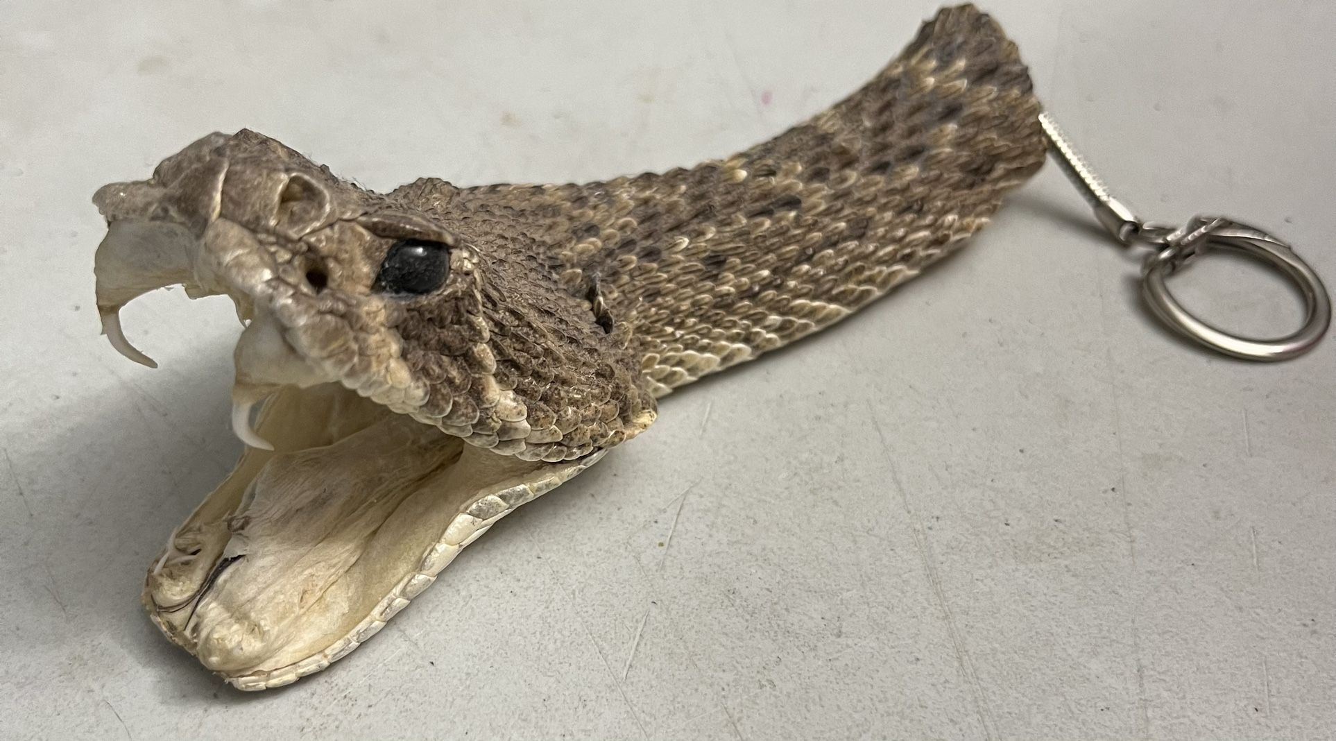 Rattlesnake Head Keychain