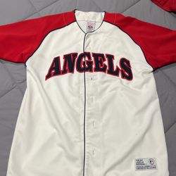 Team ANGELS