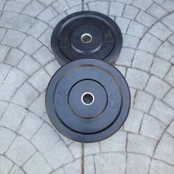 45lbs Bumper Weights 