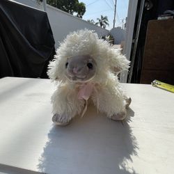 Lambs
