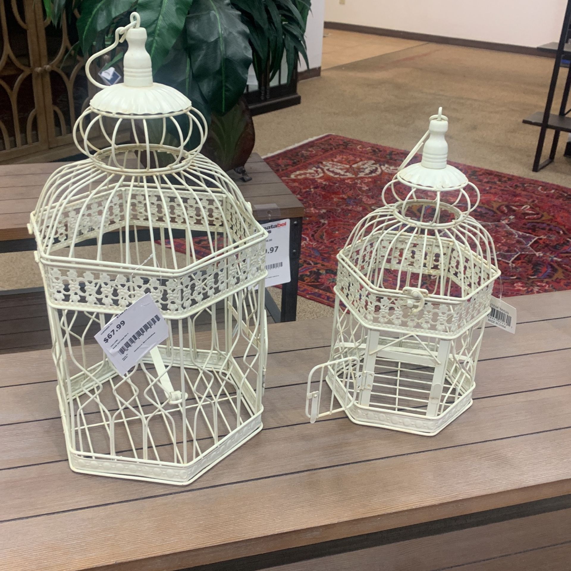 bird cage