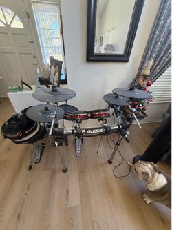 Alesis crimson 2 electric drum set