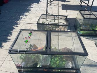 Reptile tanks