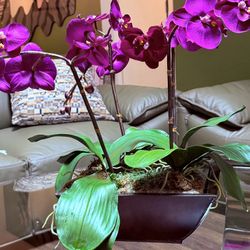 Deep Purple  Orchrid  Flower Vase