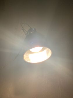 Reptile Heat Lamp