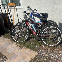 Bicycle