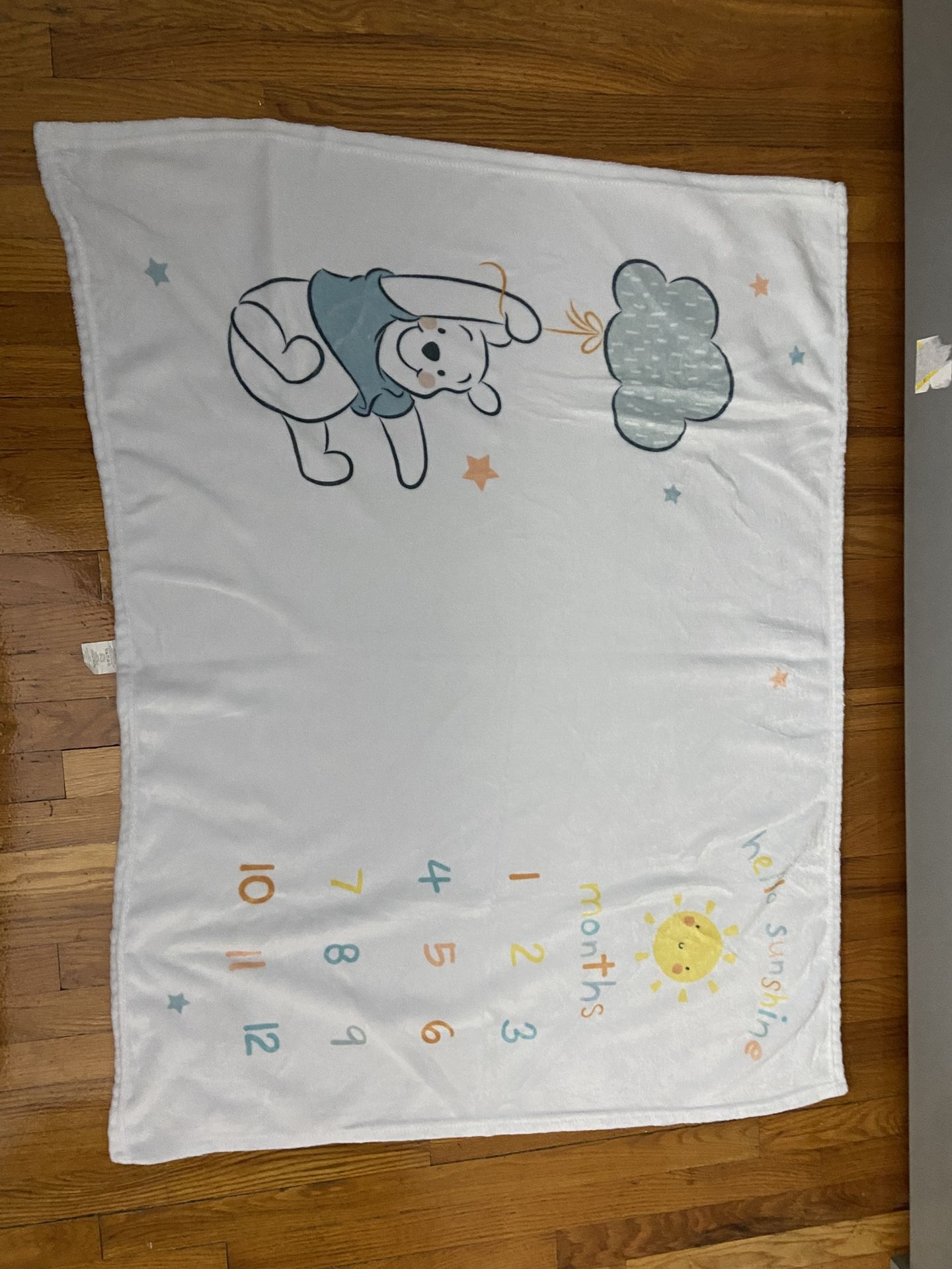 Winnie The Pooh Milestone Blanket