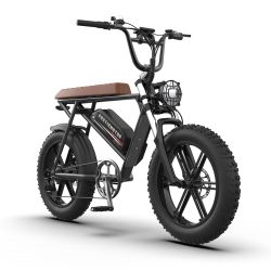 AOSTIRMOTOR new pattern Electric Bicycle 750W Motor 20 Fat Tire With 48V 13AH Li-Battery