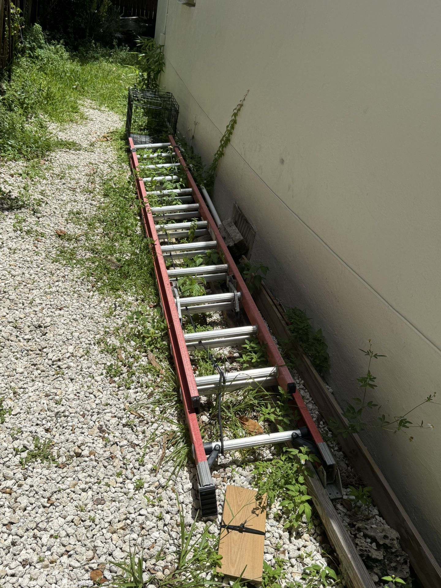 Extension Ladder