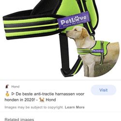    Vest For Dog