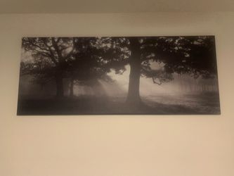 Large Black and White Forest Canvas Wall Art