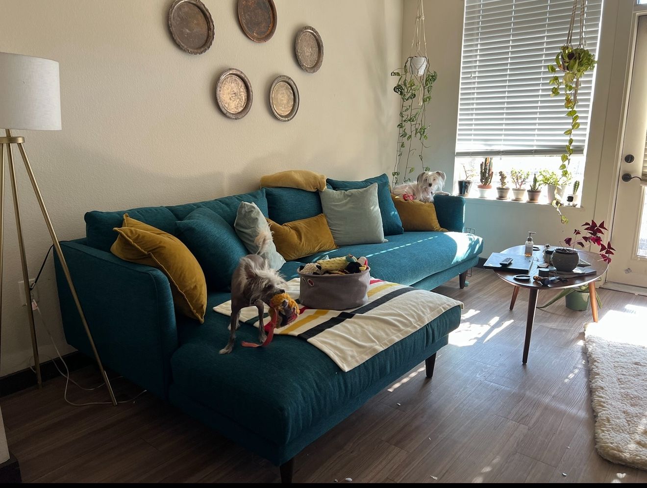 Joybird Lewis Sectional  *** SALE PENDING***
