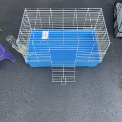 Free Guinea Pig Enclosure 