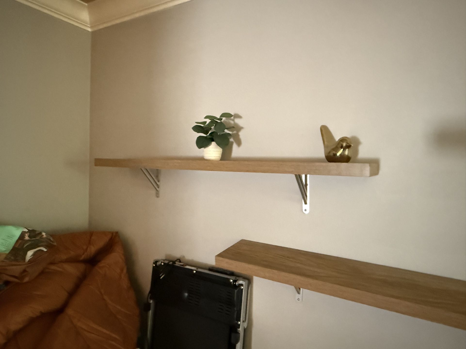 Shelves