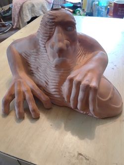 Fremont troll chia pet