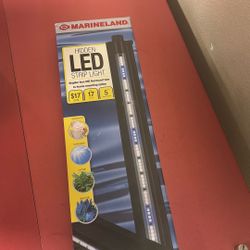 Led Light 
