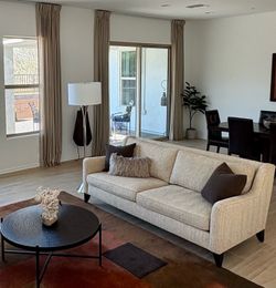 Modern Brown Accent Chairs and Sofa - $200
