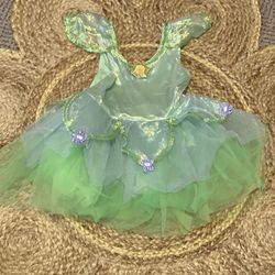 Snow White, Tinker Bell And Bumblebee Costume 