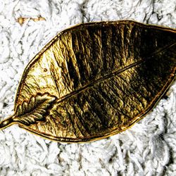 Beautiful Hawaiian Leaf Pendant Dipped In 14k Gold