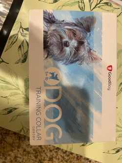 Dog Training Collar
