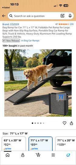 Dog ramp