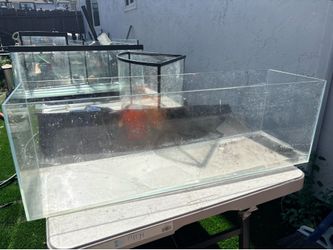 Lifegard aquatics tank