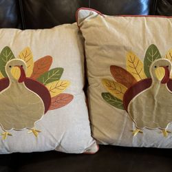 Decorative Pillows