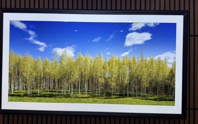 LG OLED C1 4K TV 65”