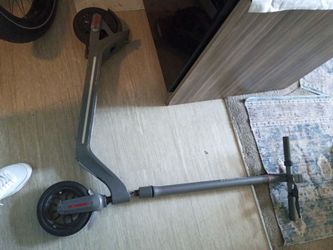 Segway Ninebot Electric Kick Scooter