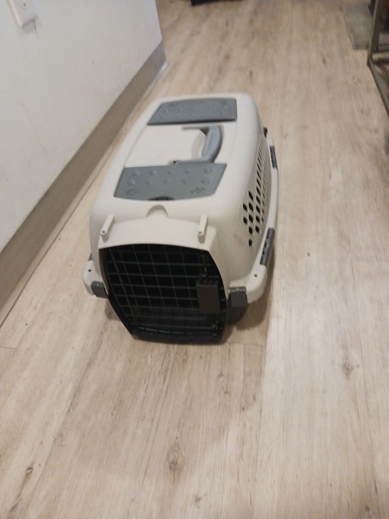 Traditional Pet Taxi