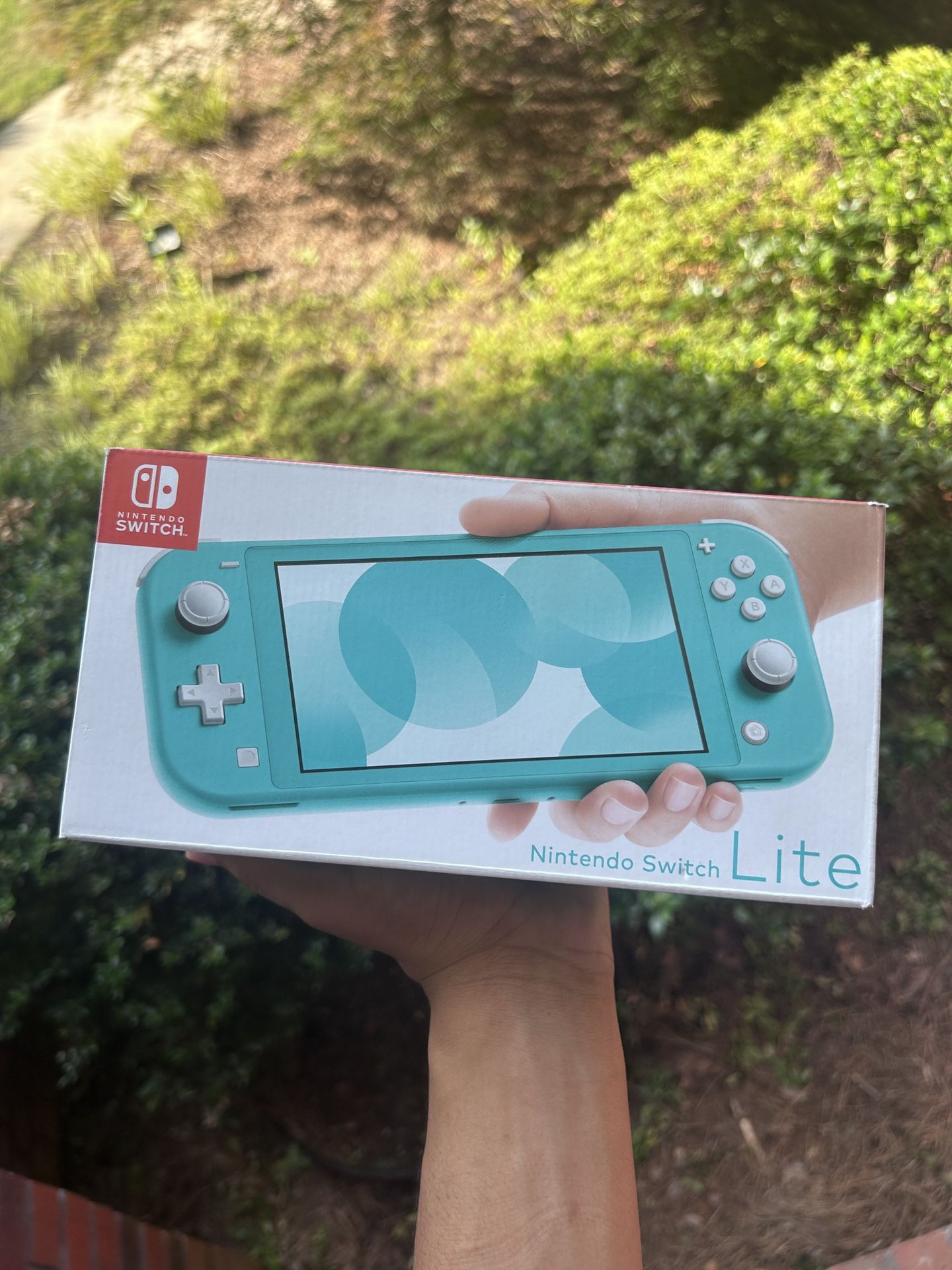 Nintendo Switch Lite