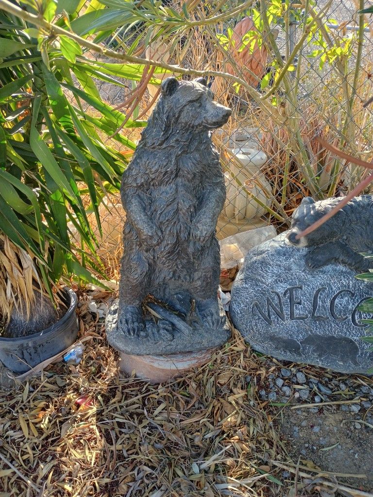 Beautiful Brown Bear