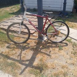 Giant Speed Bike