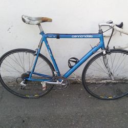 Cannondale 
