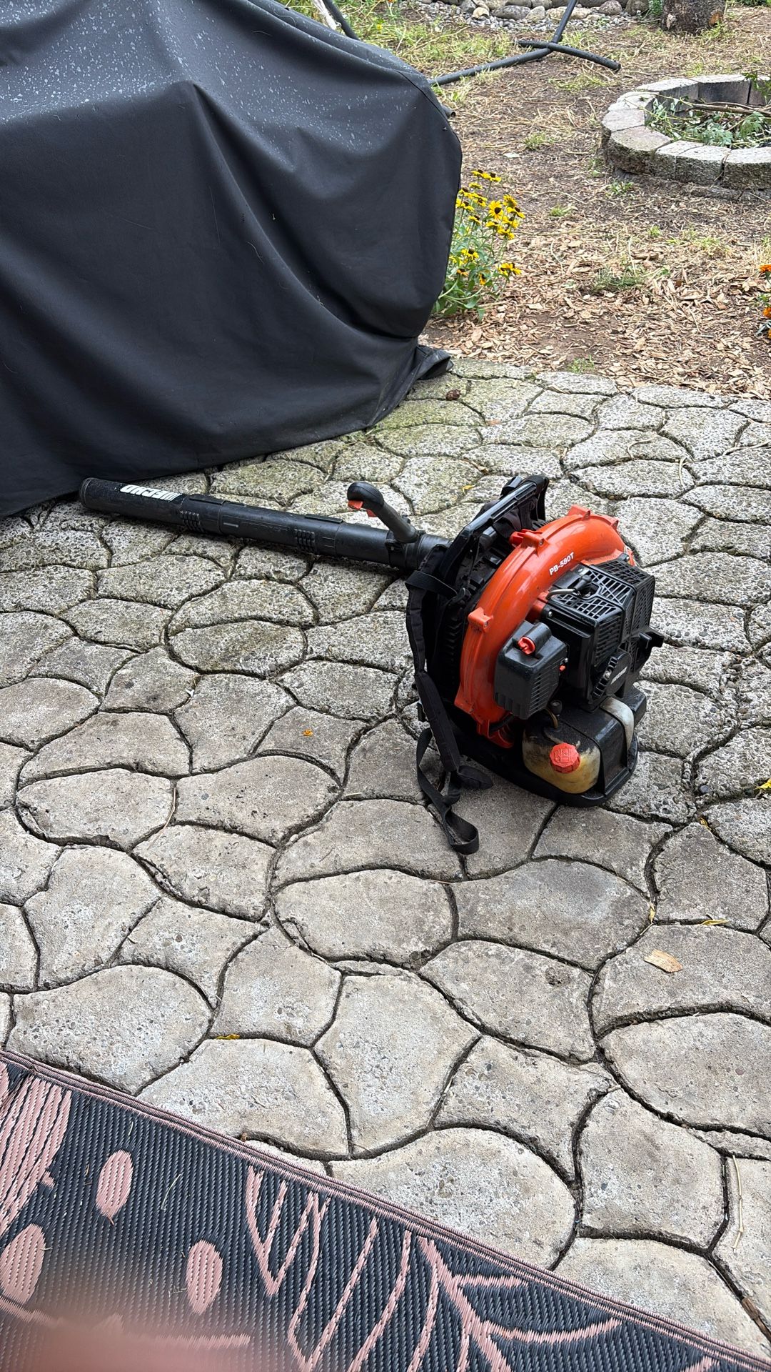 Echo Leaf Blower