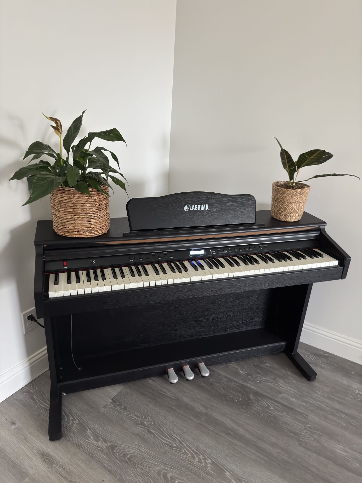 Lágrima Piano 88 Key